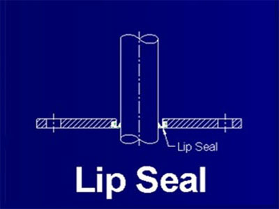 LIP SEALS MODEL